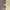 R NIBAM CARGO PARACHUTE PANTS photo 4