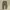 R NIBAM CARGO PARACHUTE PANTS photo 1