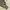 R NIBAM CARGO PARACHUTE PANTS photo 7