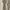 Calvin Klein Ribbed Lace Trim Tank Top  photo 2
