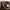 Balenciaga Casual Handbag Wanita tan brown photo 2