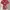 Women's Secret red batik floral top photo 2