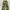 00s Camo Two Pocket Cargo Pants 
