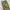 00s camo two pocket cargo pants  photo 7
