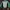 Ellesse Casual Track jacket Pria green white photo 1