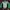 Ellesse Casual Track Jacket Pria Green White