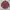 Flannel Shirt – Red Plaid photo 1