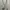 Y2K canvas cotton belt photo 1