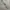 Y2K canvas cotton belt photo 3