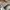 Converse Chuck 70s Low Black White photo 6