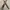 Daux leather mix canvas belt photo 2