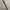 Daux leather mix canvas belt photo 3