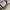 Vans Authentic OG 44 DX Anaheim Black White photo 7
