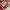 Vans Authentic OG 44 DX Anaheim Red Chilli photo 7
