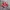 Vans Authentic OG 44 DX Anaheim Red Chilli photo 2