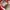 Vans Authentic OG 44 DX Anaheim Red Chilli photo 7