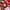 Adidas Spezial Handball Red White photo 6