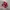 Adidas Spezial Handball Red White photo 1