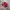 Adidas Spezial Handball Red White photo 2