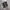 Adidas Spezial Handball Leather Black Gum photo 1