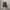 Converse Chuck 70s Hi Parchment photo 5