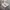 Converse Chuck 70s Hi Parchment photo 2