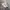 Converse Chuck 70s Hi Parchment photo 1