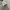 Converse Chuck 70s Hi Parchment photo 4