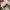 Converse Chuck 70s Hi Parchment photo 6