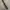 Vintage Paul Smith leather belt photo 3