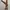 Vintage Paul Smith leather belt photo 2