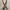 Vintage Paul Smith leather belt photo 1