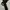Black velvet belt photo 3