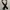 Black velvet belt photo 1