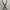 Comme des garcons faux leather belt photo 1