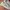 New Balance 996 White light Grey Reflective photo 2
