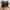 Leica Q 19 000 (Case Arte di Mano) photo 4