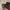 Leica Q 19 000 (Case Arte di Mano) photo 7