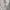 Manchester United Third 2020-2021 #20 Longsleeve Jersey photo 6