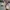 Nike Air max 270 ACG orewood, brown orange  photo 1