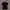 Carhartt Pocket K87 Prt