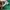 Polo Ralph Lauren Green Poloshirt  photo 4