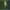 Polo Ralph Lauren Green Poloshirt  photo 2