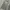 tornado mart herringbone stripe pattern washed whisker flare photo 8