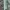 Vans Authentic 44 DX Anaheim Factory Needlepoint/Checkerboar