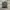 Fjällräven Casual Backpack Wanita gray photo 2
