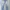 Levi's 501 light wash jeans photo 3