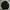 Parka By Egoist