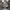 New Balance 2002R Light Grey photo 2