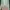 COLORBOX Casual Wanita green brown photo 1